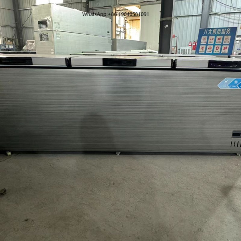 Gewerblicher Horizontal-Gefrie – Commercial Chest Freezer Bewertung und Preis